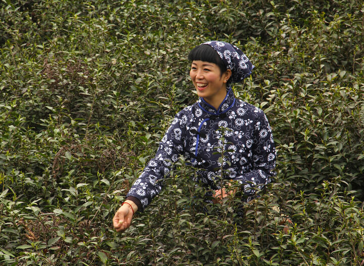 地下俱乐部